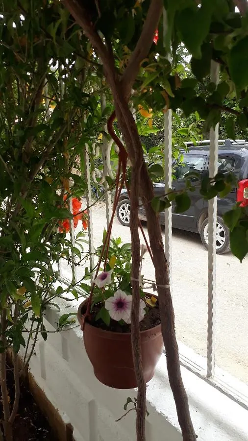Stella City Apartments Fethiye